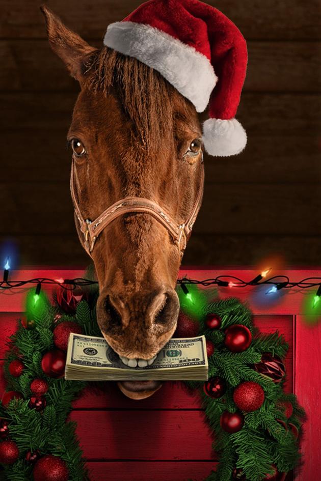 Ace & the Christmas Miracle
