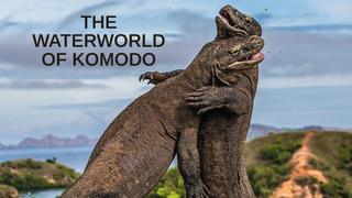 The Waterworld of Komodo