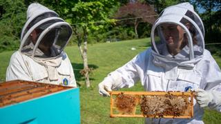 Honey