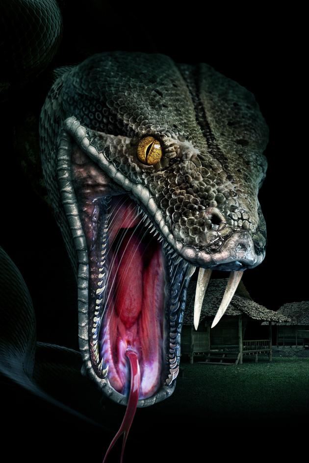 Megaboa