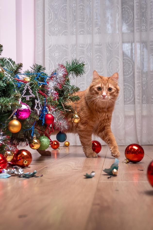 FailArmy Christmas