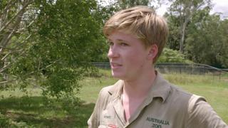 Robert's Great Gator Challenge