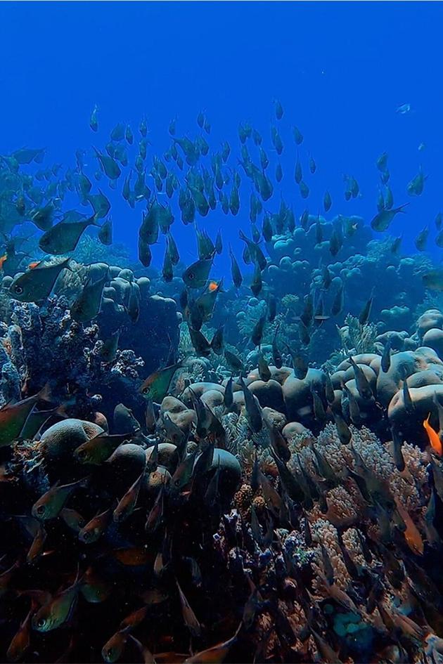 Changing Ocean Asia