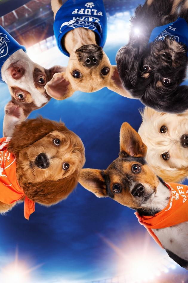 From Puppy Bowl With Love