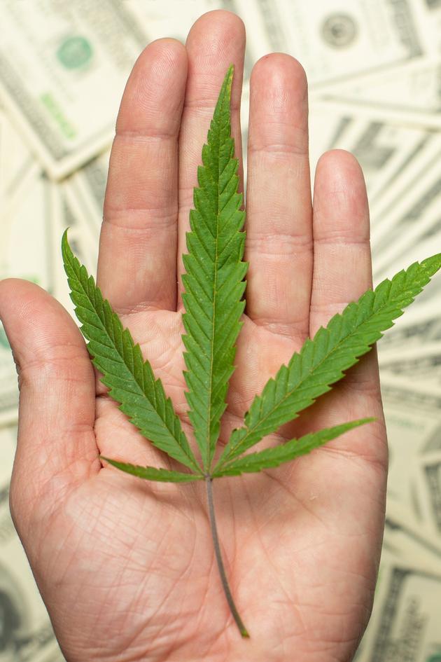 Curious About CBD?