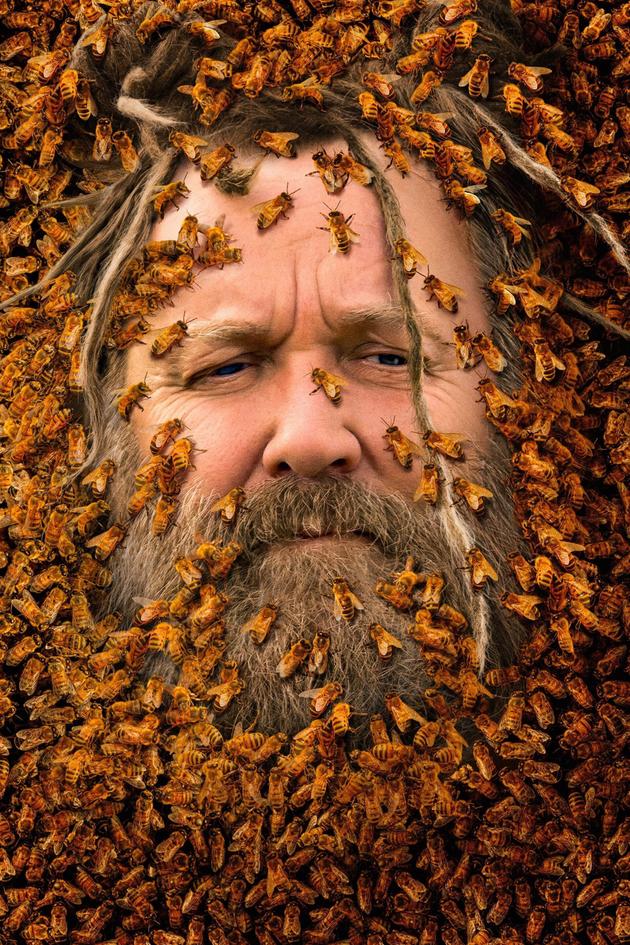 Bee Czar