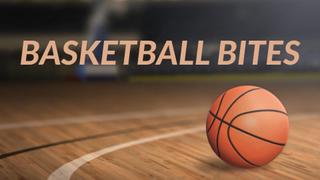 Basketball Bites