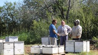 Birdies, Bees and a Baby