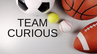 Team Curious