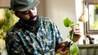 Creativity Through Preservation