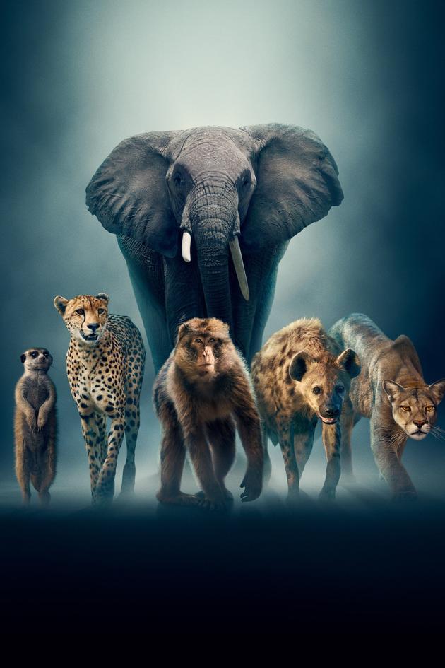Planet Earth: Dynasties