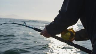 Big Blue Wild
