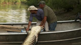 Swamp People
