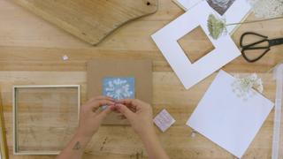 Bright Art, Food and Design
