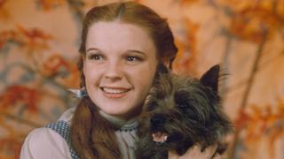 The Wizard of Oz