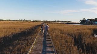 Savannah Hog and Fiddler Crab