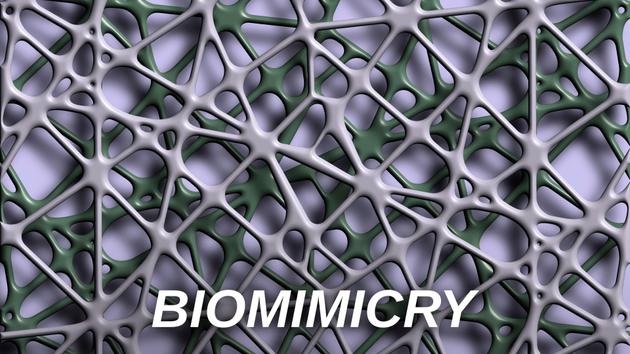 Biomimicry