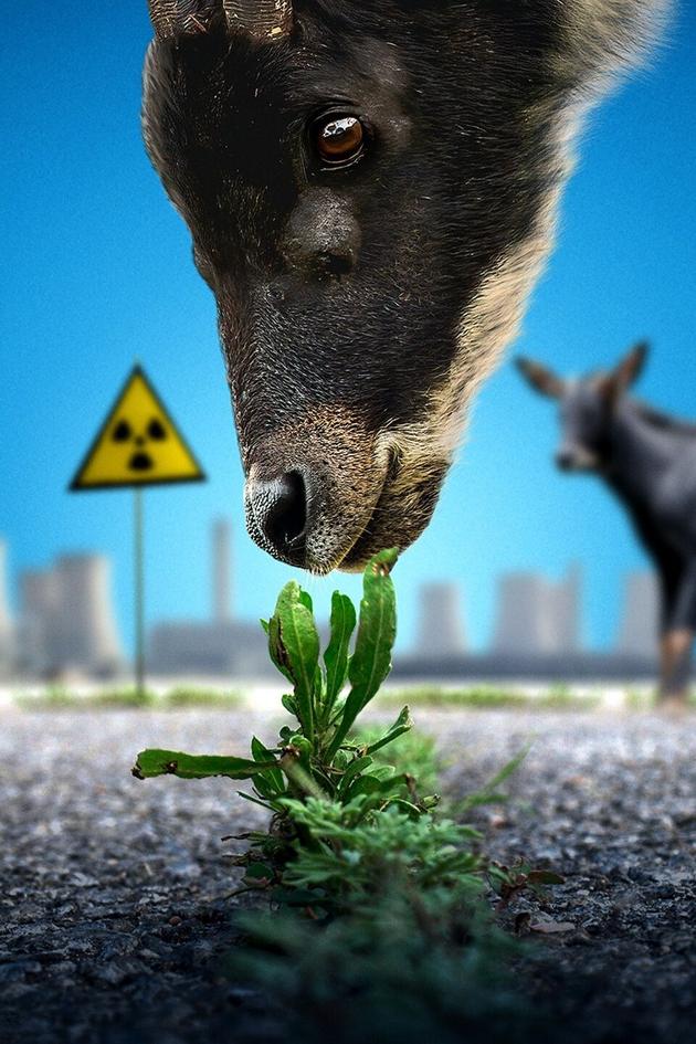 Abandoned: Uncovering Fukushima