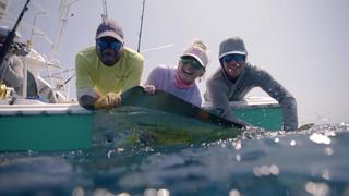 Black Magic: Piñas Bay, Panama