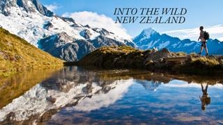 Into the Wild New Zealand