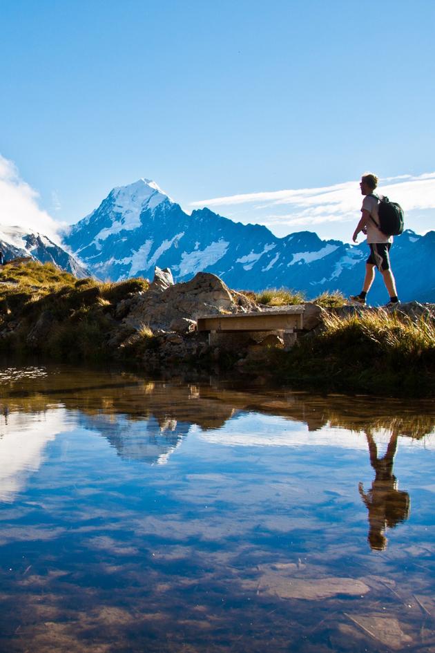 Into the Wild New Zealand