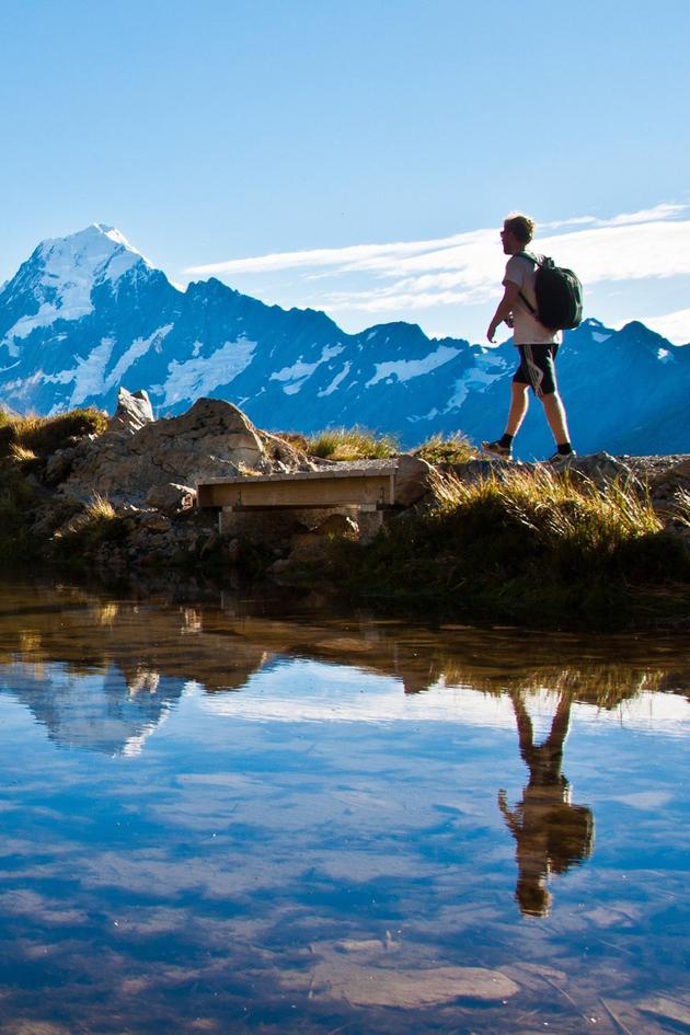 Into the Wild New Zealand