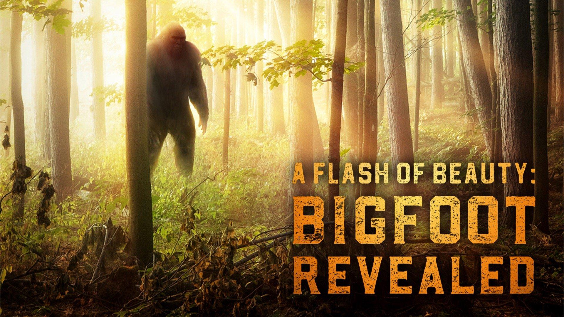 Watch A Flash of Beauty: Bigfoot Revealed Streaming Online on Philo ...