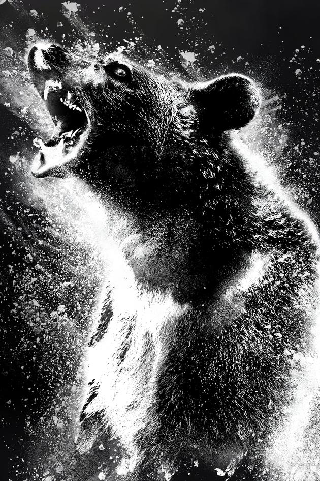 Cocaine Bear
