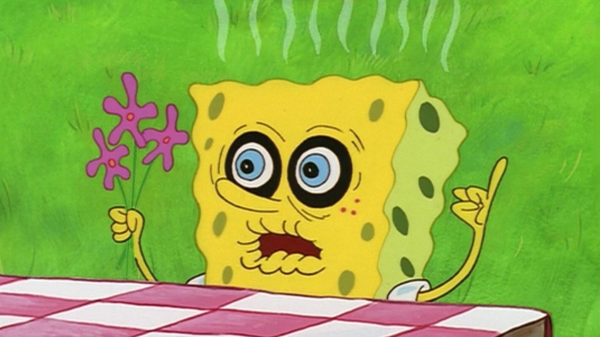 Spongebob Squarepants Help Wanted Loser