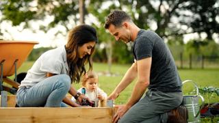 Building a Garden