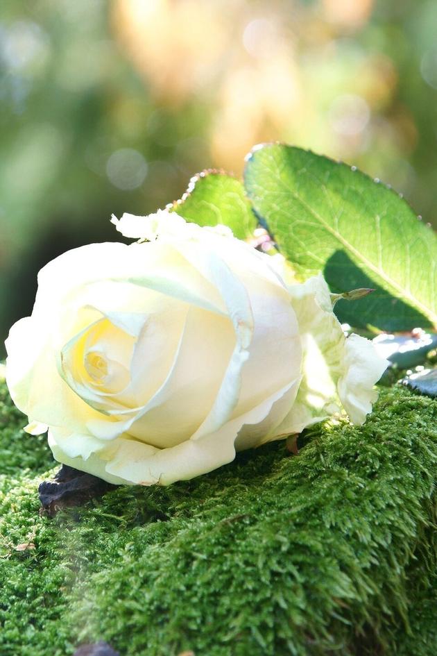 USA TODAY Investigates: Roadside Memorials and Why People Make Them