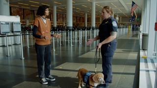 Food Guards
