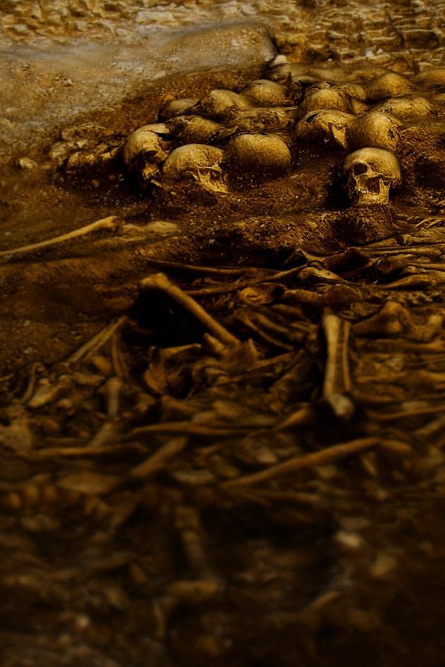 Vikings: The Lost Realm