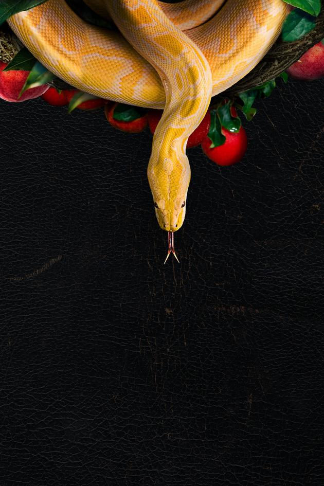 Deadly Sins: No Forgiveness