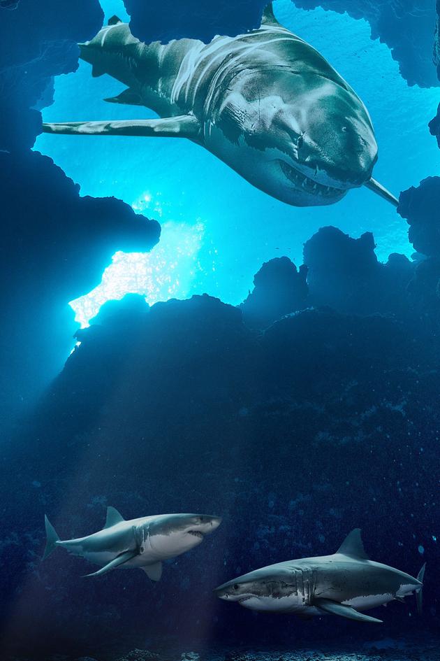 Jaws vs. the Blob