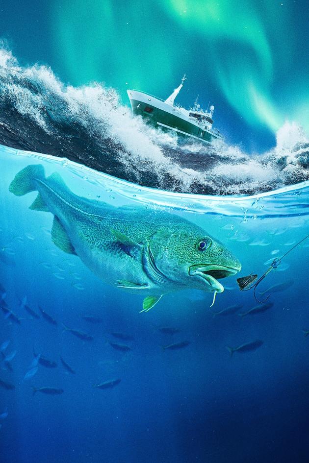 Ice Cold Catch