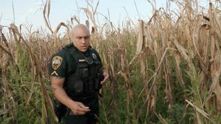 Corn Maze Chase
