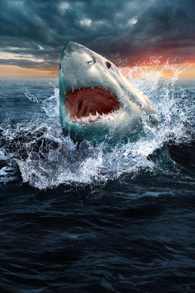 Great White Battleground