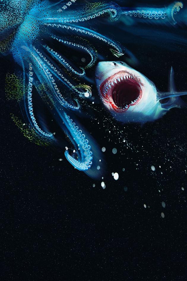 Jaws vs. Kraken