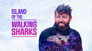 Island of the Walking Sharks