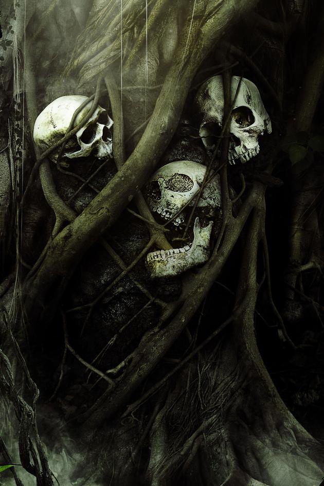 Secrets in the Jungle