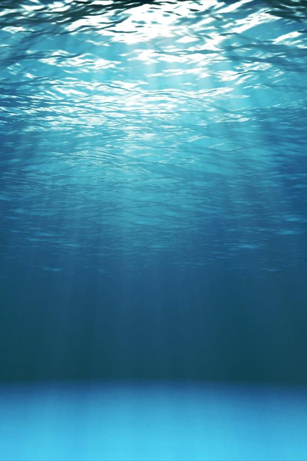 Journey to the Sea of Cortez