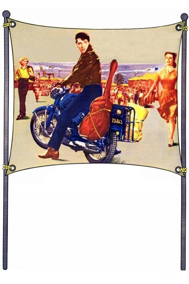 Roustabout