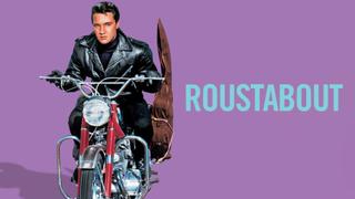  watch Roustabout