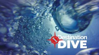 Destination Dive
