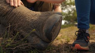 Rhino Sanctuary