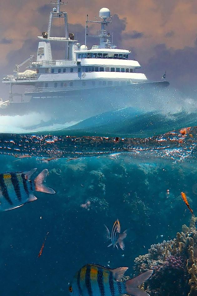 Our Living Oceans