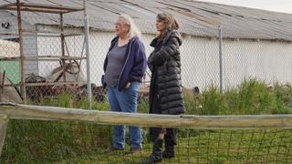 True Crime Story: It Couldn't Happen Here