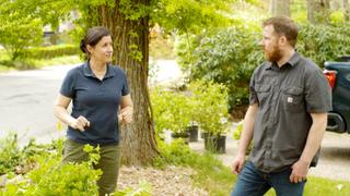 Woodland Garden; Chimney Repairs
