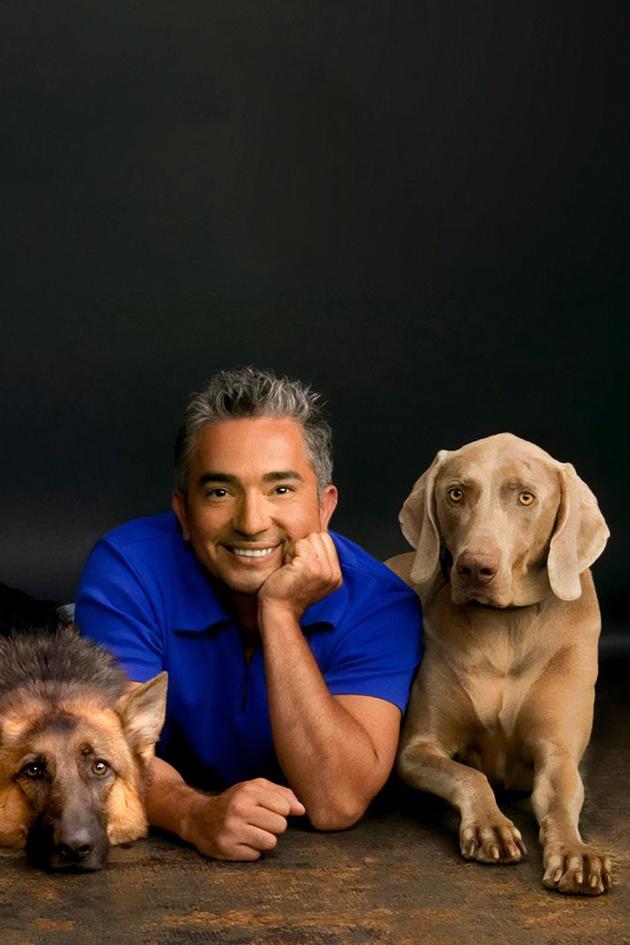 Dog Whisperer